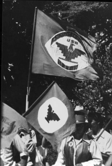 (3632) Demonstration, flags (3632) Demonstration, flags